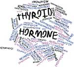 thyroid